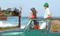 Cozumel Jeep Snorkel Adventure Entrance Of Punta-Sur