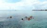 Cozumel Small Group Snorkeling Tour Family Oriented