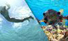 Cozumel Small Group Snorkeling Tour Views Underwater