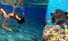 Cozumel Small Group Snorkeling Tour Nice Fun Adventure Underwater