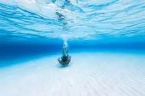 Enjoying the ocean breeze