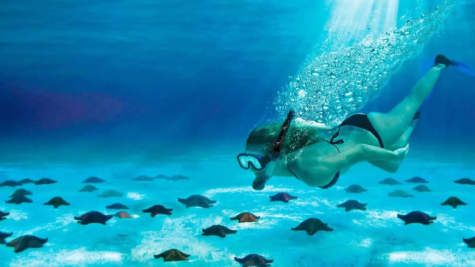 A must-see spot on the island