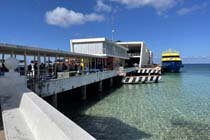 Cozumel tour de snorkel