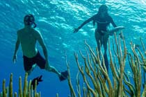 Cozumel El Cielo Tour