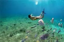 Snorkel en arrecife Villablanca Cozumel