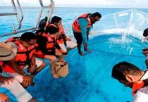 Puedes ver los peces sin mojarte