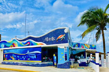 Tour Lancha Transparente en Cozumel